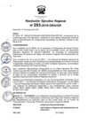 Vista preliminar de documento RER_293_2018.pdf