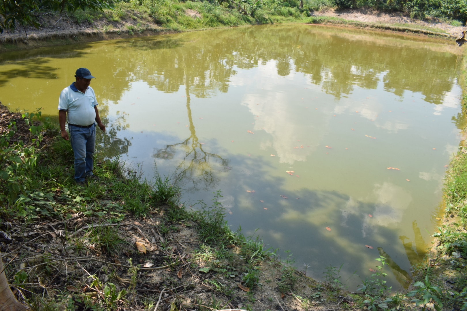 piscicultura en Madre de Dios