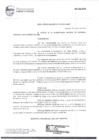 Vista preliminar de documento Resolución de alcaldía 110