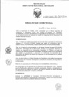 Vista preliminar de documento RD N°001-2016-DG-OGIS