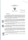 Vista preliminar de documento RD-N248-2016-DG-OGA-INS