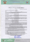 Vista preliminar de documento AC Nº37.pdf