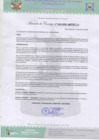 Vista preliminar de documento AC Nº38.pdf