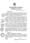 Vista preliminar de documento RER_333_2018.pdf