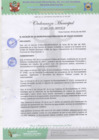 Vista preliminar de documento Ordenanza Municipal Nº009-2020-MPVHA.pdf