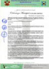 Vista preliminar de documento Ordenanza Municipal Nº019-2020-MPVHA.pdf