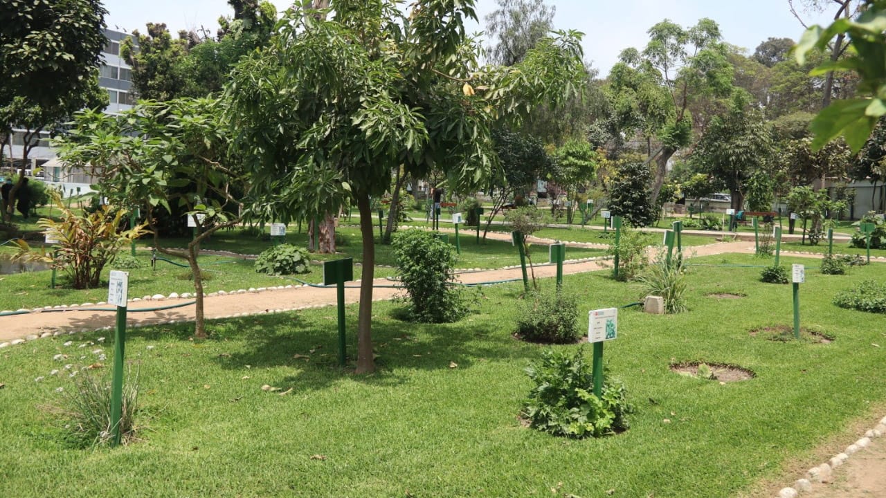 Jardín Botánico del Minsa