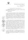Vista preliminar de documento R.E.R. Nro 313-2020-GR-GR PUNO.pdf