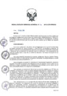 Vista preliminar de documento rgg-nº-041-2019-gg