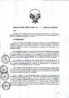 Vista preliminar de documento rdn052-2018-de