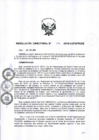 Vista preliminar de documento rdn074-2018-de
