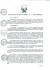 Vista preliminar de documento rsgn014-2018-sg
