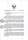 Vista preliminar de documento rggn028-2018-gg