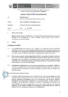 Vista preliminar de documento Informe Técnico 2093-2019-SERVIR-GPGSC