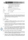 Vista preliminar de documento Informe Técnico 2017-2019-SERVIR-GPGSC