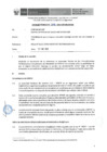 Vista preliminar de documento Informe Técnico 2008-2019-SERVIR-GPGSC