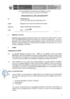 Vista preliminar de documento Informe Técnico 1990-2019-SERVIR-GPGSC