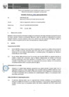 Vista preliminar de documento Informe Técnico 1973-2019-SERVIR-GPGSC