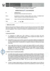 Vista preliminar de documento Informe Técnico 1919-2019-SERVIR-GPGSC