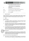 Vista preliminar de documento Informe Técnico 1324-2019-SERVIR-GPGSC
