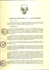 Vista preliminar de documento rdn013-2017-de