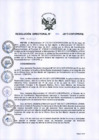 Vista preliminar de documento rdn-090-2017-de