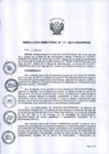 Vista preliminar de documento rdn-096-2017-de