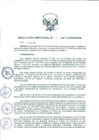 Vista preliminar de documento rdn-157-2017-de