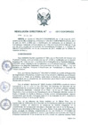 Vista preliminar de documento rdn162-2017-de
