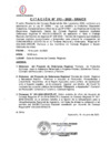 Vista preliminar de documento CITACION Nº 13.pdf