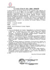 Vista preliminar de documento CITACION Nº 12.pdf