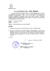 Vista preliminar de documento CITACION Nº 01.pdf