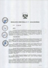 Vista preliminar de documento rd-n007-2016-de