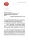 Vista preliminar de documento Comentarios de la empesa - América Móvil