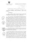 Vista preliminar de documento R.G.G.R. Nro. 129-2020-GGR-GR PUNO.pdf