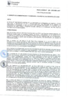Vista preliminar de documento RES Nº28-20.pdf