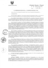 Vista preliminar de documento R.E.R. Nro 321-2020-GR-GR PUNO.pdf