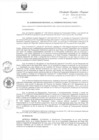 Vista preliminar de documento R.E.R. Nro 322-2020-GR-GR PUNO.pdf