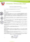 Vista preliminar de documento 190 RESOLUCION DE ALCALDIA N190-2019 MDSMA.pdf