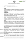 Vista preliminar de documento RDE-000094-2020-DE