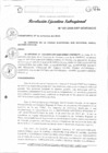 Vista preliminar de documento RESR N 024-2020.pdf