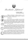 Vista preliminar de documento R.J. N° 265-2017-INDECI