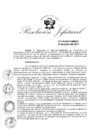 Vista preliminar de documento R.J. N° 119-2017-INDECI