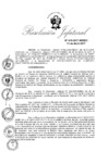 Vista preliminar de documento R.J. N° 049-2017-INDECI