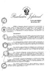Vista preliminar de documento R.J. N° 031-2017-INDECI