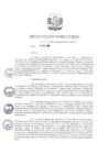 Vista preliminar de documento RD 262-2020.pdf