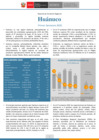 Vista preliminar de documento RCR - Huánuco 2020 - I Semestre
