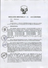 Vista preliminar de documento 133-2013-de