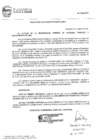Vista preliminar de documento Resolución de alcaldía 219