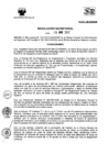 Vista preliminar de documento RJ-N023-2012-SIS-S